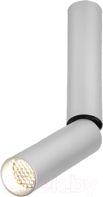 Точечный светильник Elektrostandard Pika 6W / 25029/LED (серебристый) - фото