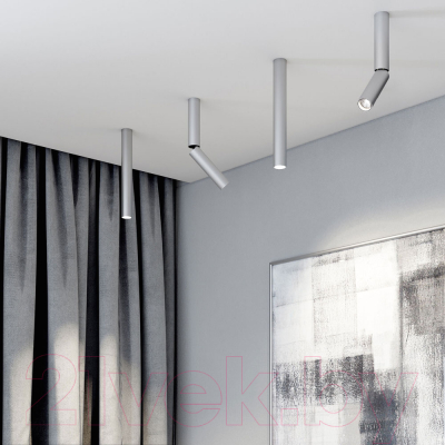 Точечный светильник Elektrostandard Pika 6W / 25029/LED (серебристый)