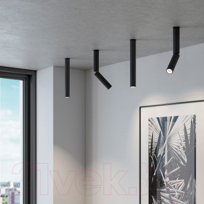 Точечный светильник Elektrostandard Pika 6W / 25029/LED