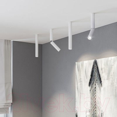 Точечный светильник Elektrostandard Pika 6W / 25030/LED