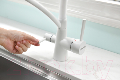 Смеситель Paulmark Siegen Si213111-431TW