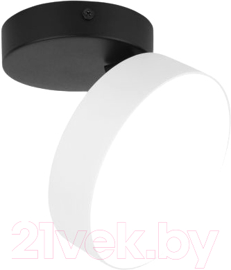 Потолочный светильник Elektrostandard Pila 12W 4200К / 25135/LED (белый) - фото