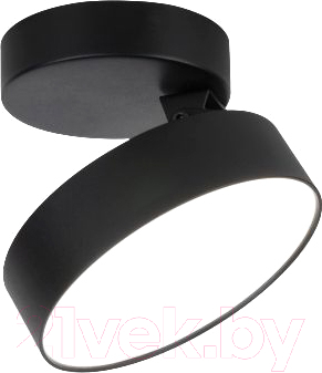 Потолочный светильник Elektrostandard Pila 12W 4200К / 25135/LED (черный) - фото