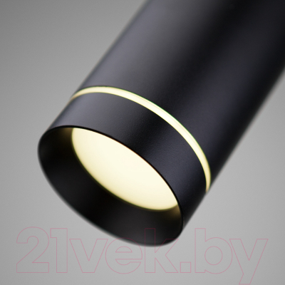 Потолочный светильник Elektrostandard DLR023 IP54 / 35084/H