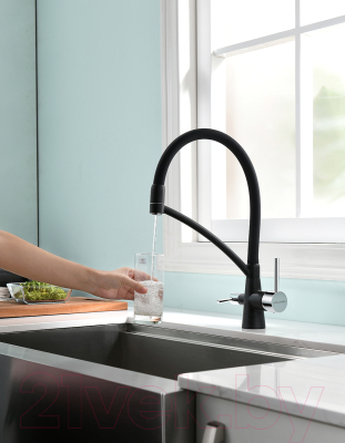 Смеситель Paulmark Siegen Si213111-308