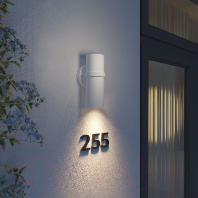 Бра уличное Elektrostandard Grin / 35000/D