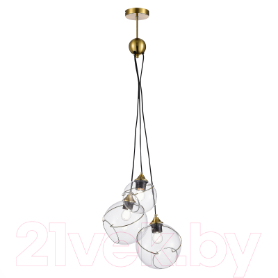 Потолочный светильник Evoluce SLE103113-03