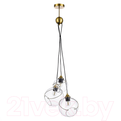 Потолочный светильник Evoluce SLE103113-03