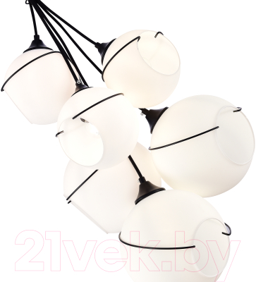 Люстра Evoluce SLE103143-06