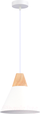 Потолочный светильник Evoluce SLE125103-01 - фото