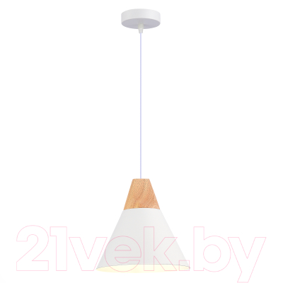 Потолочный светильник Evoluce SLE125103-01