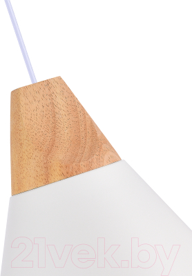 Потолочный светильник Evoluce SLE125103-01