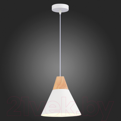 Потолочный светильник Evoluce SLE125103-01