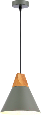 Потолочный светильник Evoluce SLE125113-01 - фото