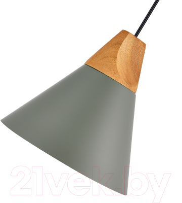 Потолочный светильник Evoluce SLE125113-01