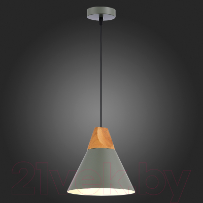 Потолочный светильник Evoluce SLE125113-01