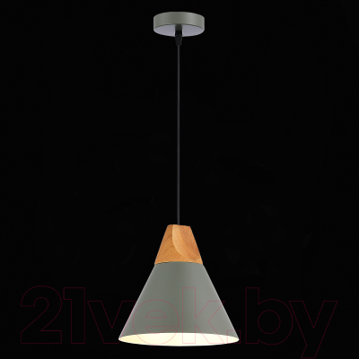 Потолочный светильник Evoluce SLE125113-01