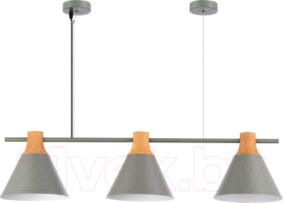 Потолочный светильник Evoluce SLE125113-03 - фото