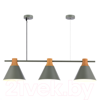 Потолочный светильник Evoluce SLE125113-03