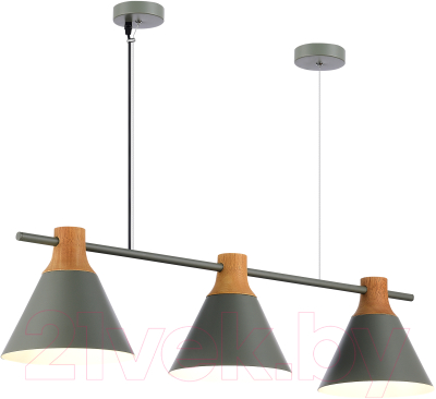 Потолочный светильник Evoluce SLE125113-03