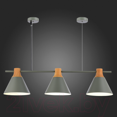 Потолочный светильник Evoluce SLE125113-03