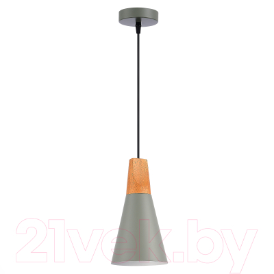 Потолочный светильник Evoluce SLE125173-01