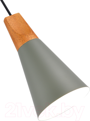 Потолочный светильник Evoluce SLE125173-01