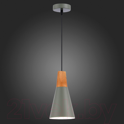 Потолочный светильник Evoluce SLE125173-01