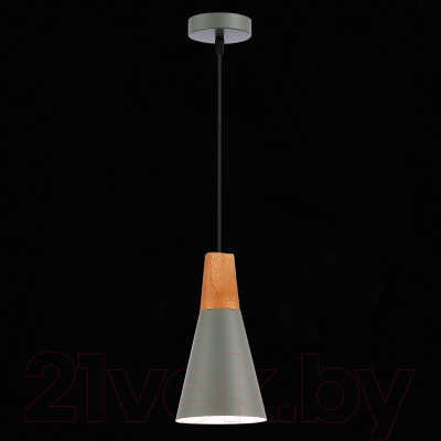 Потолочный светильник Evoluce SLE125173-01