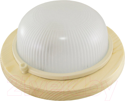 Светильник ЖКХ TDM SQ0303-0424 - фото