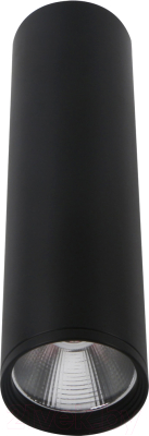 Потолочный светильник Kinklight Фабио 08570-20.19 - фото