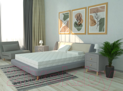 Матрас EOS Идеал 2 170x200 (джерси трикот)