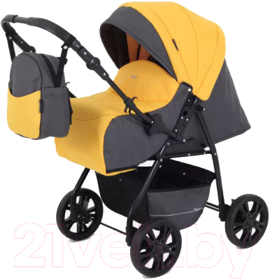 Детская универсальная коляска Rant Basic Riva 2 в 1 / PW 01 - фото