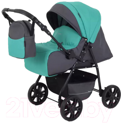 Детская универсальная коляска Rant Basic Riva 2 в 1 / PW 02 - фото