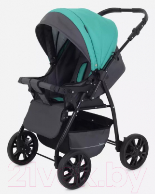 Детская универсальная коляска Rant Basic Riva 2 в 1 / PW 02