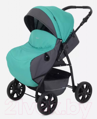 Детская универсальная коляска Rant Basic Riva 2 в 1 / PW 02