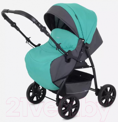 Детская универсальная коляска Rant Basic Riva 2 в 1 / PW 02