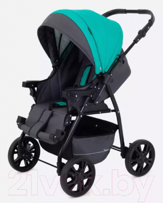 Детская универсальная коляска Rant Basic Riva 2 в 1 / PW 02