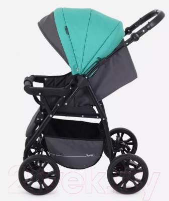 Детская универсальная коляска Rant Basic Riva 2 в 1 / PW 02