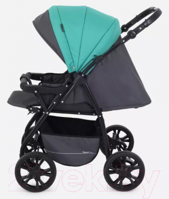 Детская универсальная коляска Rant Basic Riva 2 в 1 / PW 02