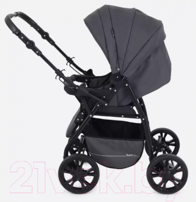 Детская универсальная коляска Rant Basic Riva 2 в 1 / PW 03