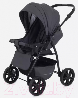 Детская универсальная коляска Rant Basic Riva 2 в 1 / PW 03