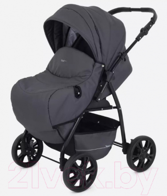 Детская универсальная коляска Rant Basic Riva 2 в 1 / PW 03