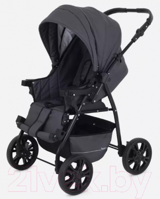 Детская универсальная коляска Rant Basic Riva 2 в 1 / PW 03