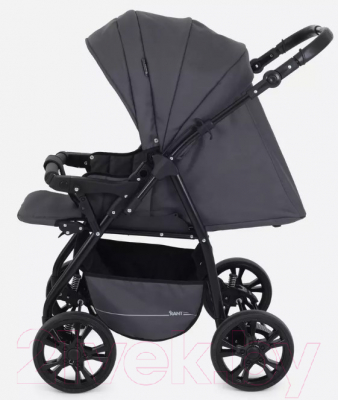 Детская универсальная коляска Rant Basic Riva 2 в 1 / PW 03