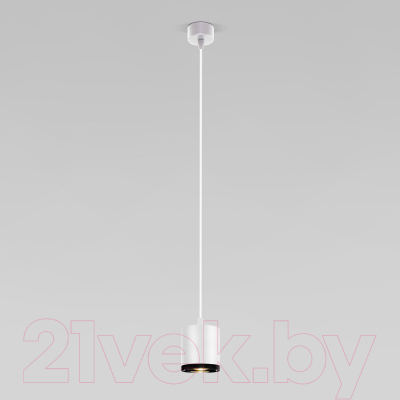 Потолочный светильник Elektrostandard 50243 LED 12W 4200K (белый)