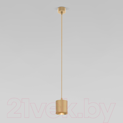 Потолочный светильник Elektrostandard 50243 LED 12W 4200K (золото)