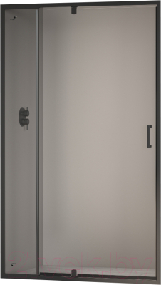 Душевая дверь RGW PA-008-B / 350800889-14 - фото