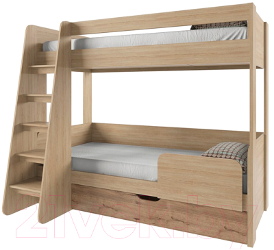 Двухъярусная кровать детская Anrex Diesel 90x200 (дуб мадура/веллингтон) - фото