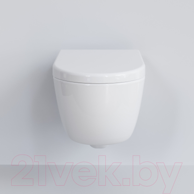 Сиденье для унитаза Ambassador 102T20001 (белый)